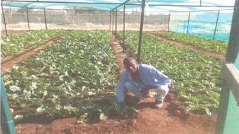 Pako and Sabie enterprise